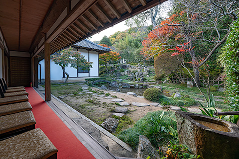 大通寺庭園