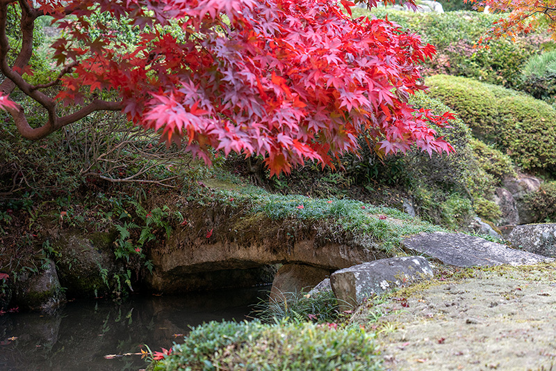 土橋