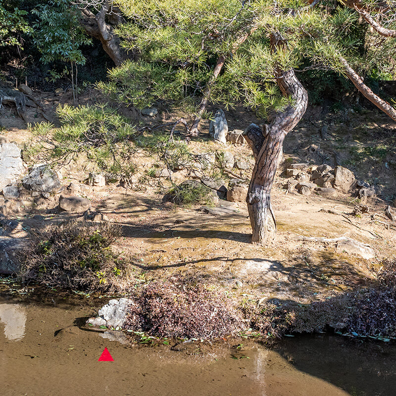 亀岩組