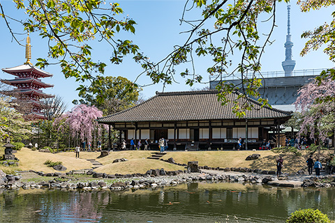 浅草寺 伝法院庭園