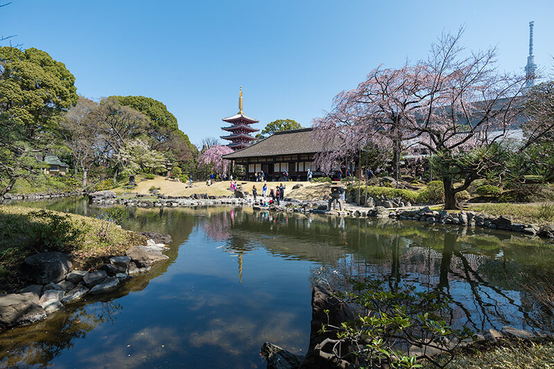 伝法院の池泉