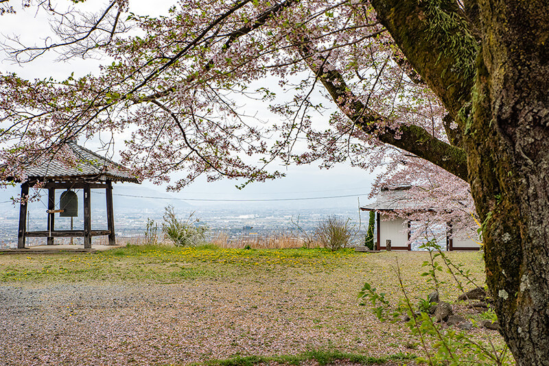 甲府盆地を一望できる丘陵