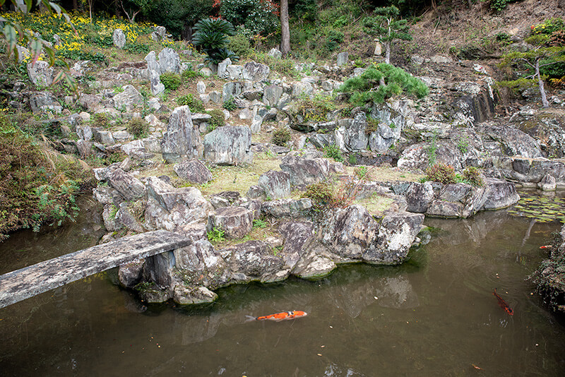 中島を北部から撮影