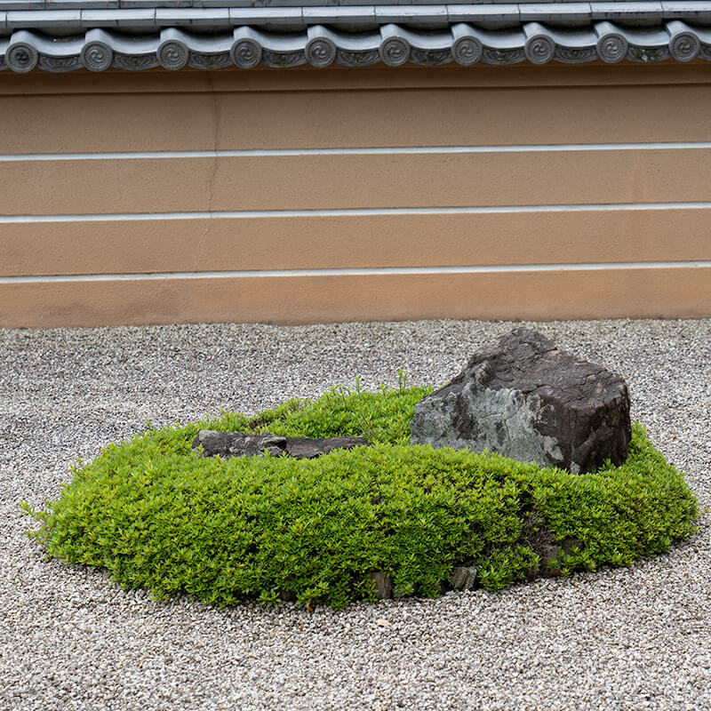 サツキの刈り込み