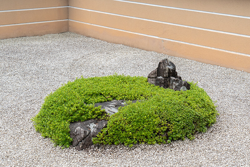 サツキの刈り込み