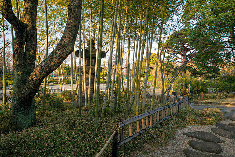 竹林