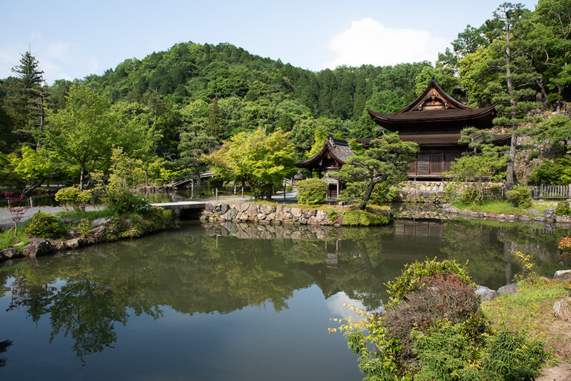 周辺の自然条件を上手に活用した池泉回遊式庭園