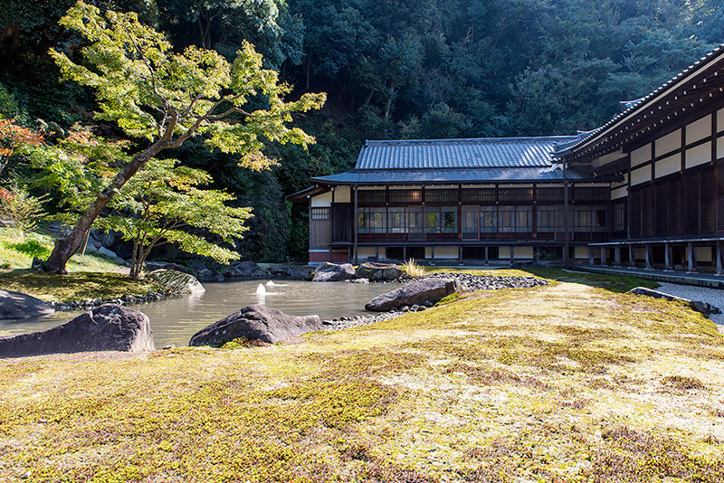 方丈庭園のほぼ全景