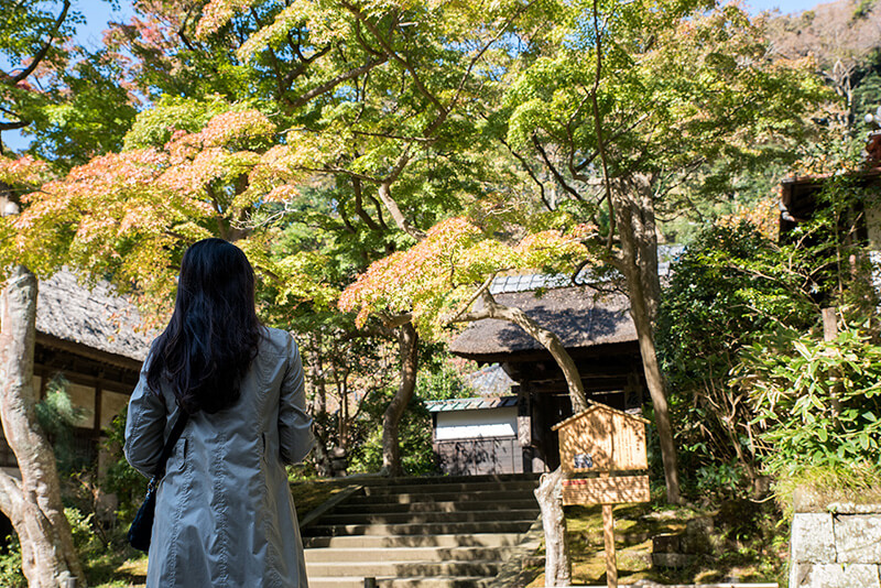 居士林の紅葉