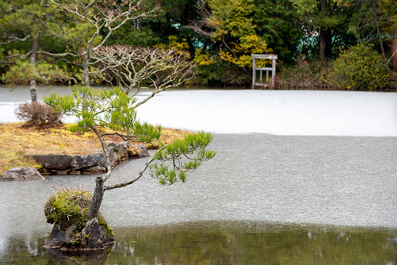 年に数日しか見られない貴重な光景
