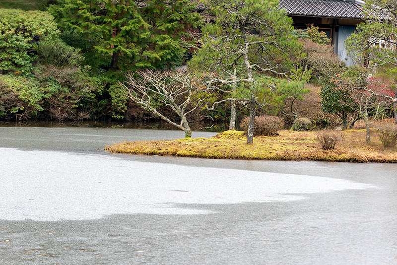 中島の反対側からも、凍っている様子が分かる。