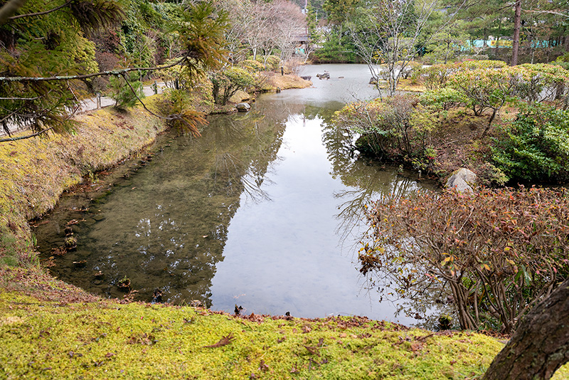 護岸石組はみられない