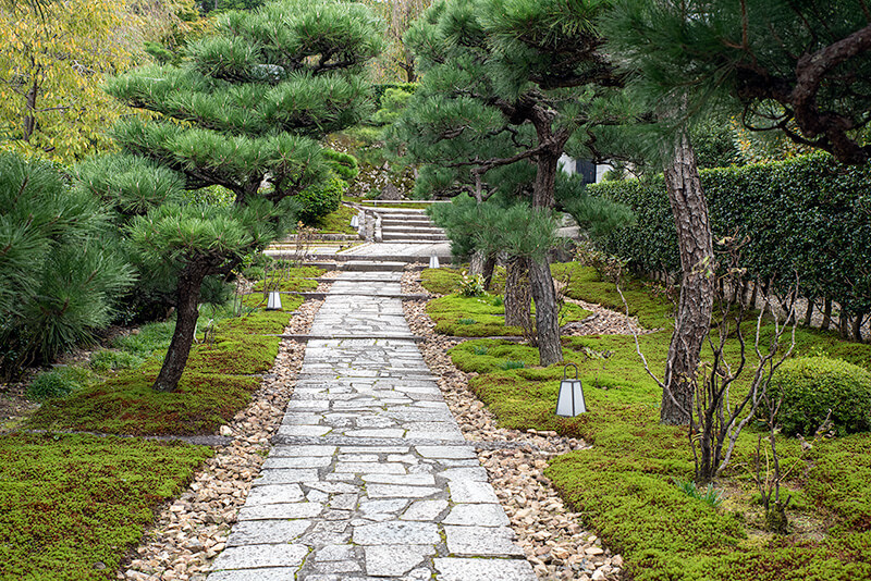 山門から奔龍庭へ続く参道