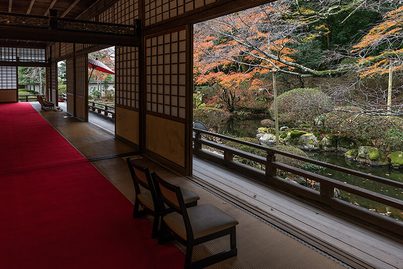額縁庭園