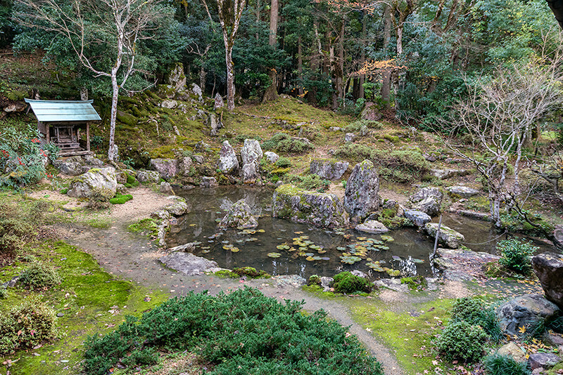 庭園の全景