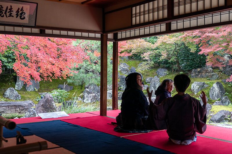 円徳院の北庭