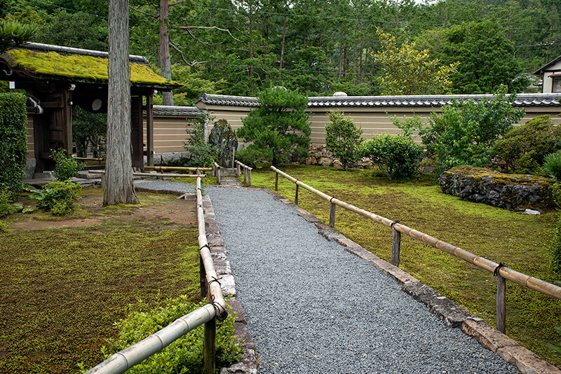 山門から続く苑路の両側は苔庭