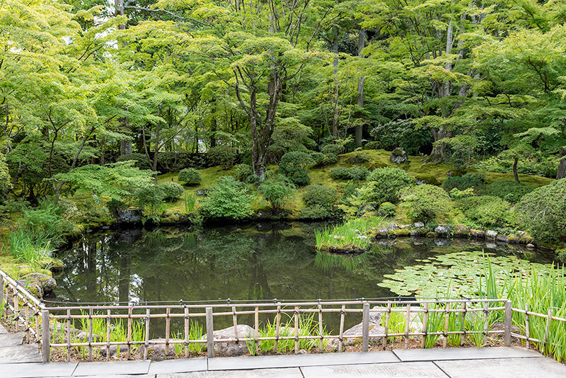 池泉観賞式庭園「遠州の庭」