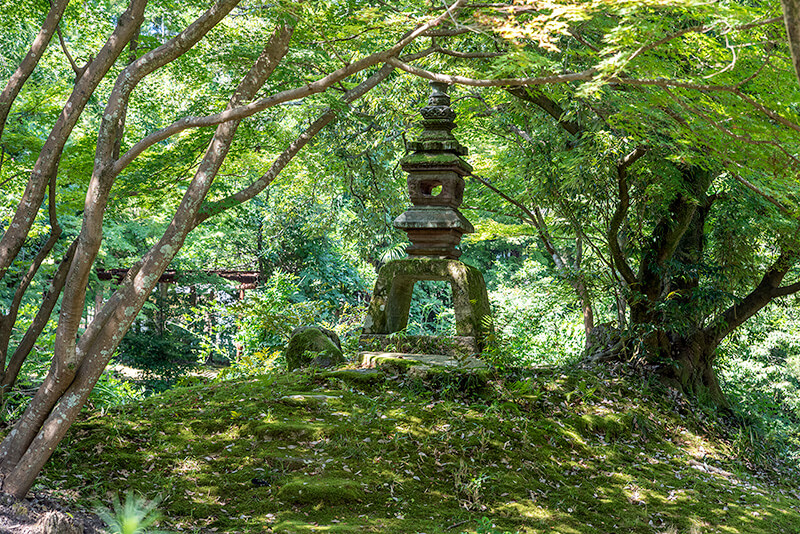 野筋