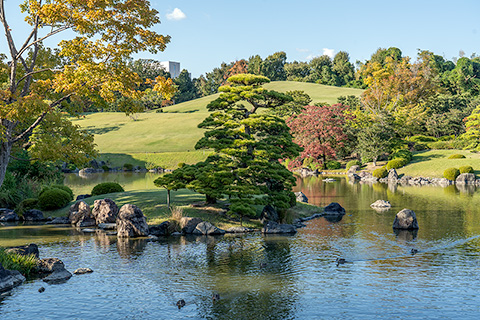 万博記念公園 日本庭園