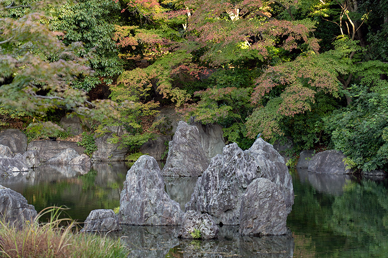 深山の泉