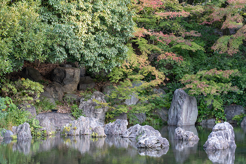 深山の泉