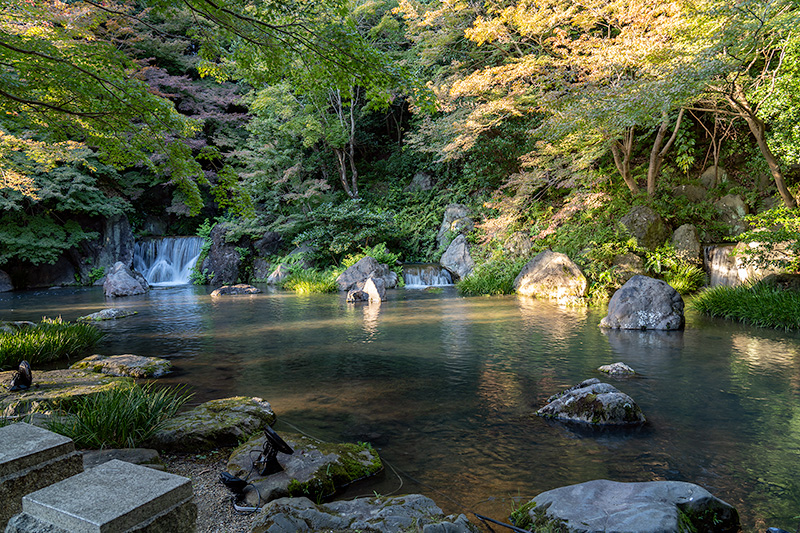 木漏れ日の滝