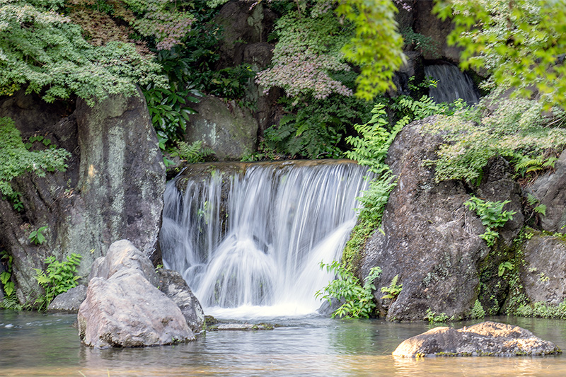 木漏れ日の滝