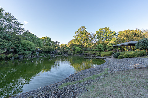 府中の森公園 日本庭園