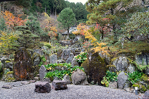 不動院　吉仙庭