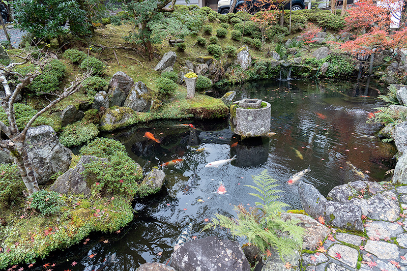 不動院の入口にある池泉庭園