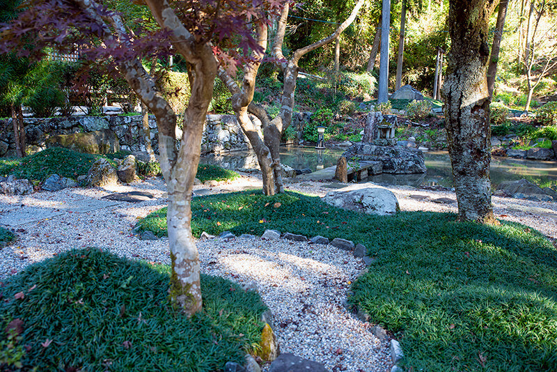 冨賀寺　水神庭園