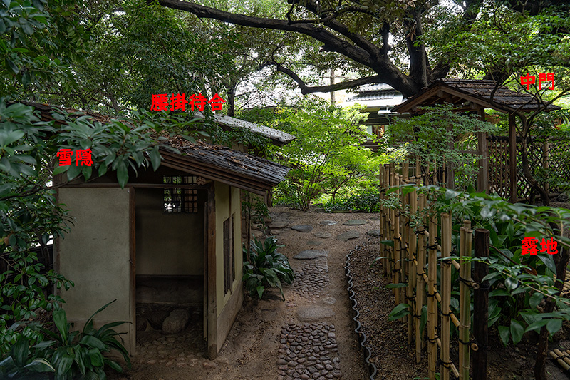 露地