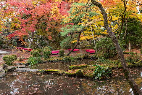 芙蓉園（旧白毫院庭園）