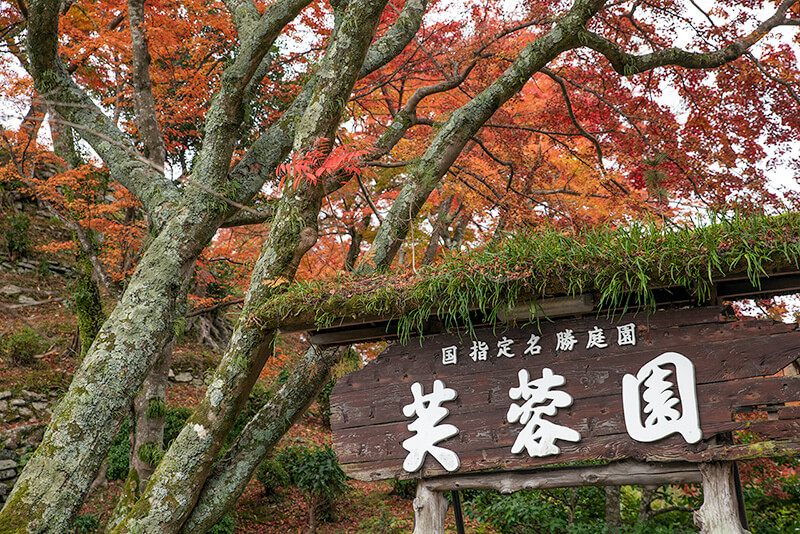 芙蓉園