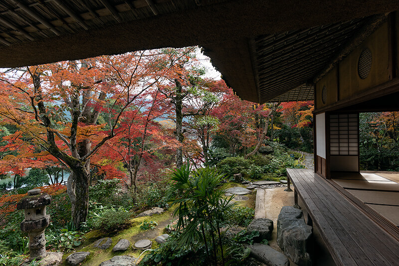 臥龍院