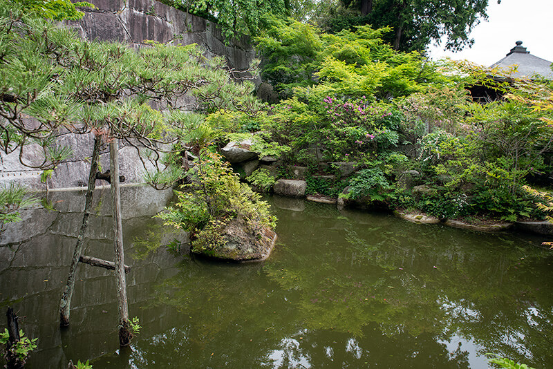 池泉庭園