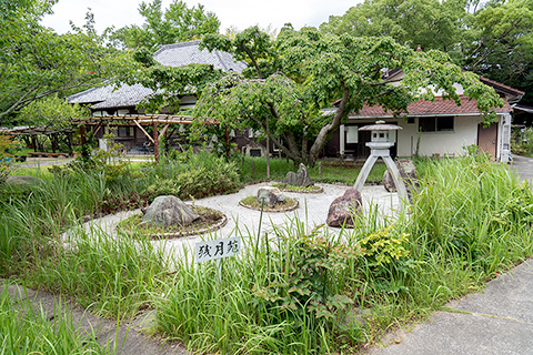 慈恩院