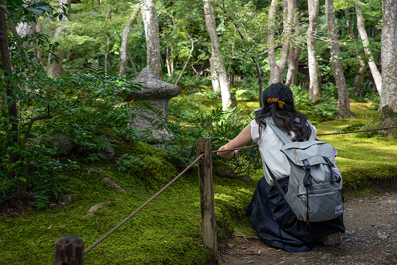 苔を愛する女性「コケジョ」