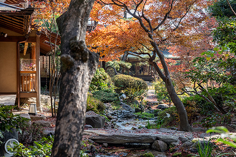 五風荘庭園