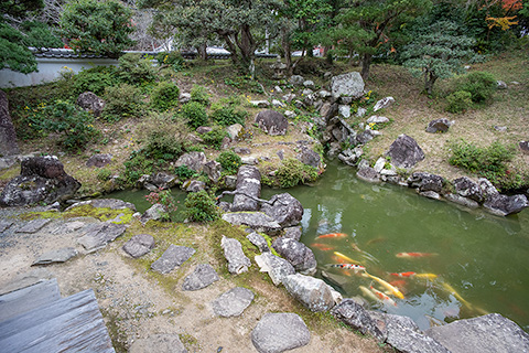 護国寺