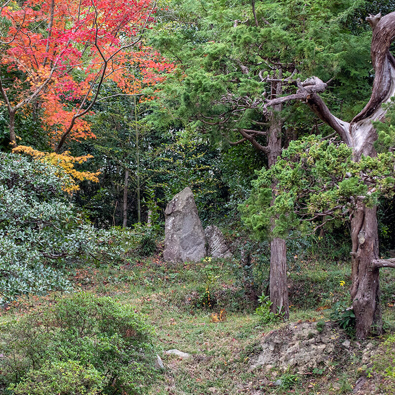 遠山石
