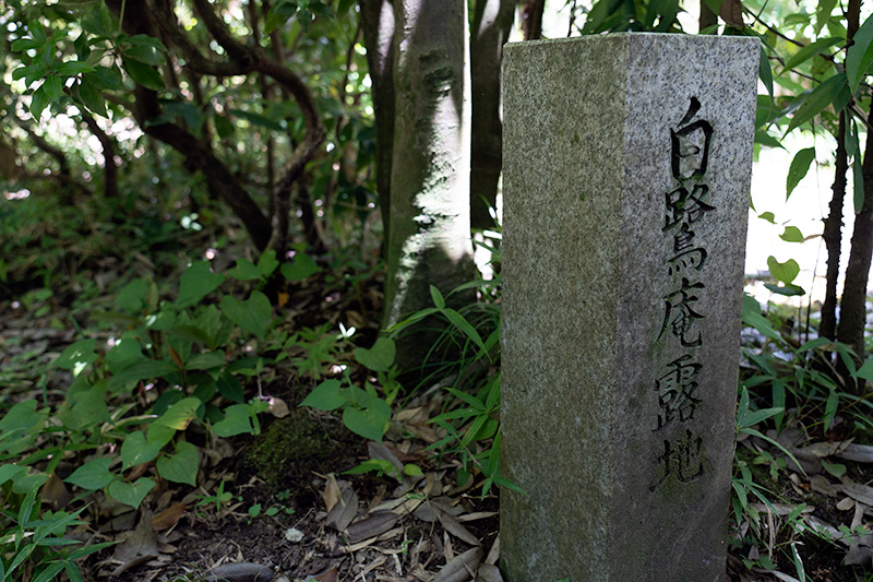 白鷺庵露地