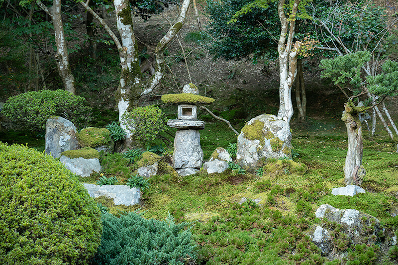 山燈篭が枯山水の引き立て役