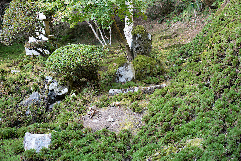 遠山石
