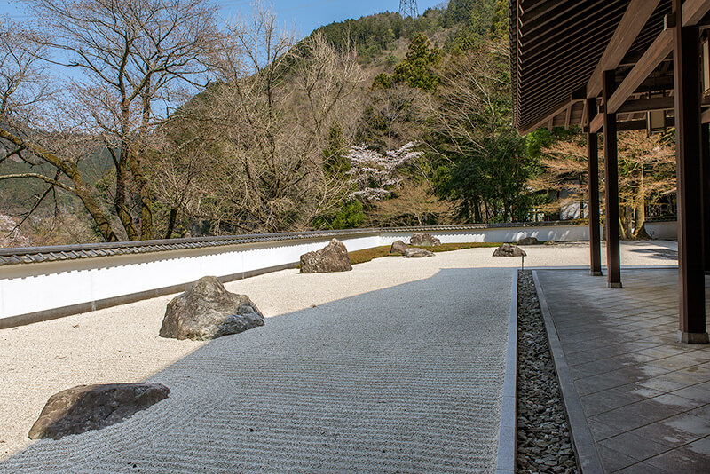 庭園の端から枯山水を撮す