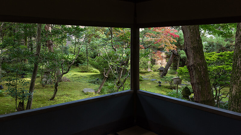 額縁庭園