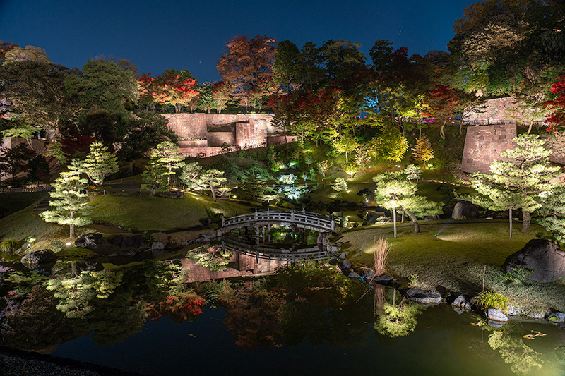 ライトアップされた玉泉院丸庭園