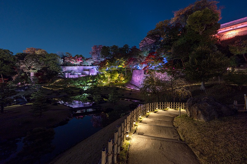 ライトアップされた玉泉院丸庭園