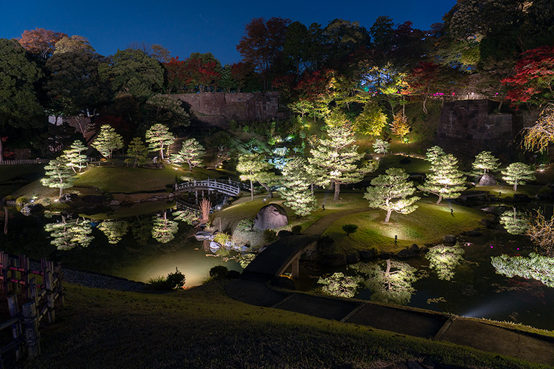 ライトアップされた玉泉院丸庭園